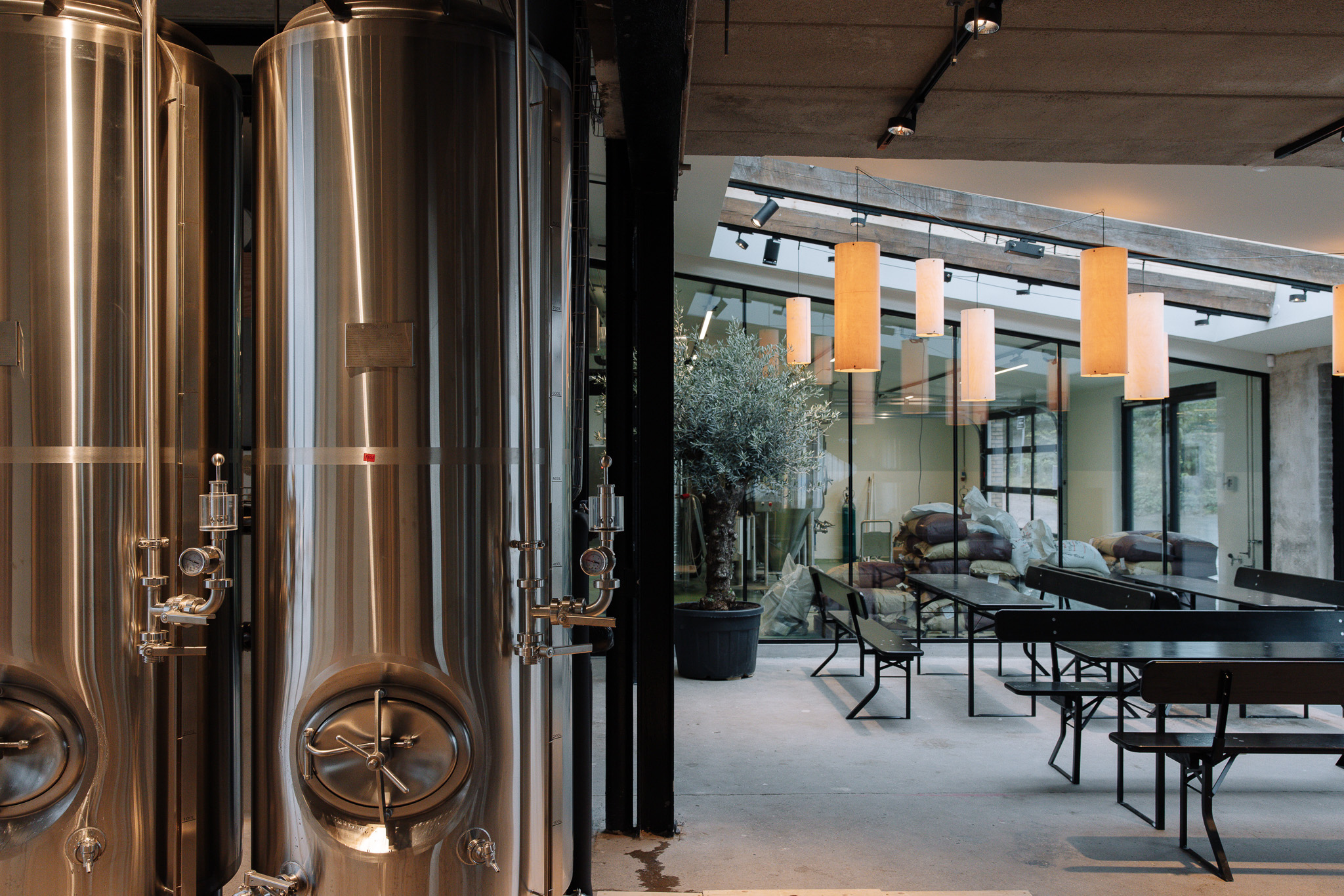 Biergarten hos Zeitgeist Brewing — rustikt indendørs lokale med udsigt til bryggeriet